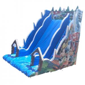 Disney Inflatable Slide