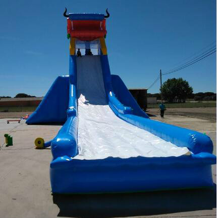 Dragon Inflatable Water Slide